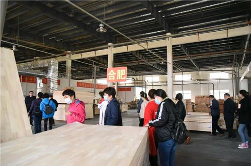 自然交织，家居新生 春光为媒 预鉴新家——光明家具2021春季家装工厂行暨景鸿装饰携手活动圆满收官